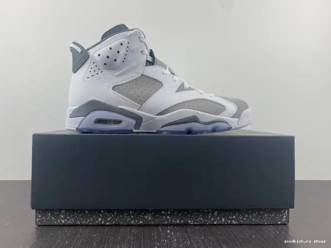 Rep Grey Cool Jordan CT8529-100 Air 6 0417